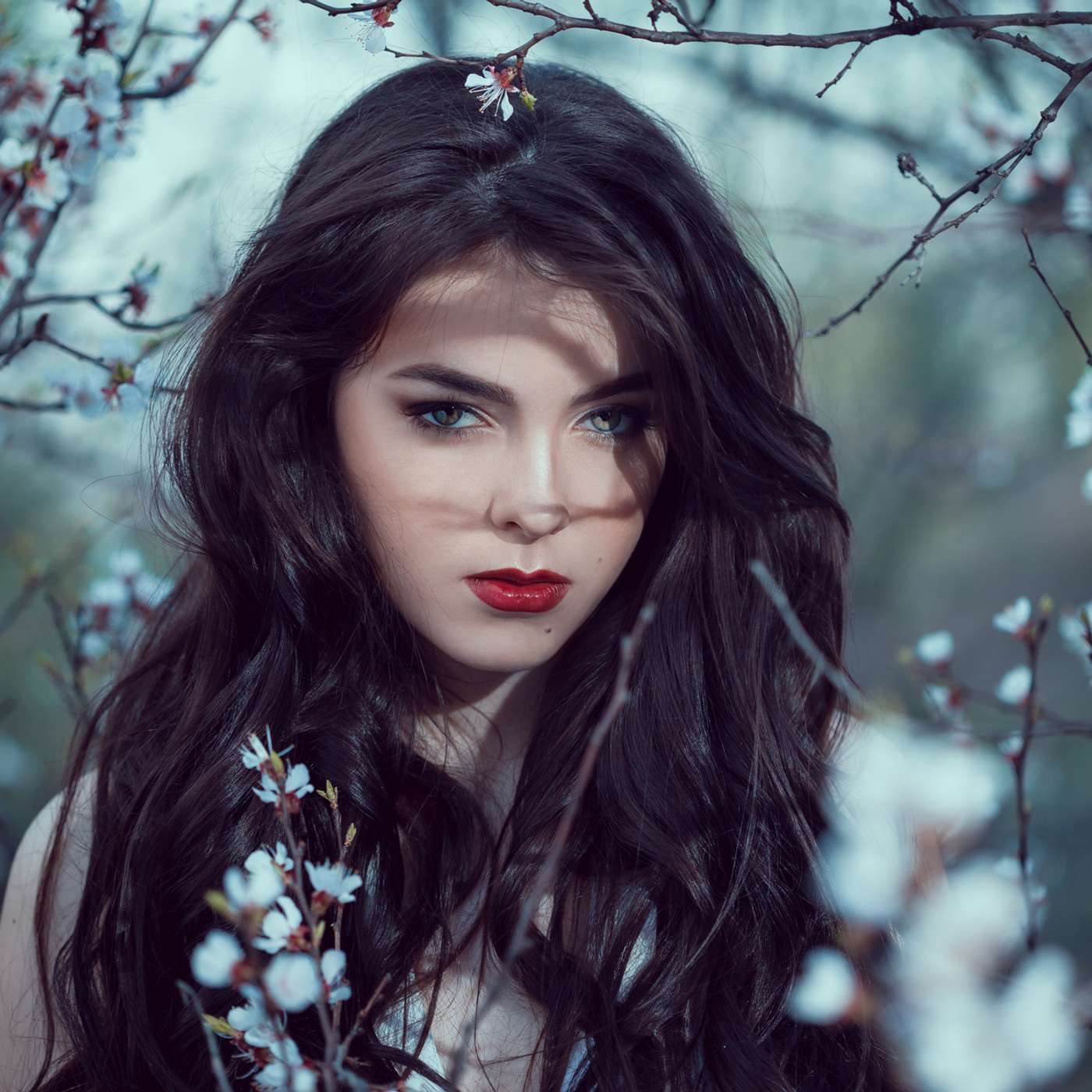 Bang! performed by Summer Fall Stuart Martz Gabrielle Salinger Jocelyn Wright and Produced by AudioIron